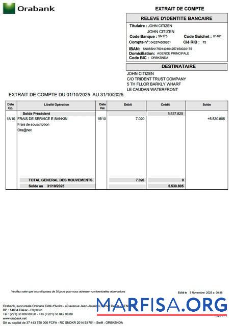 Printable Togo Orabank account statement word real example